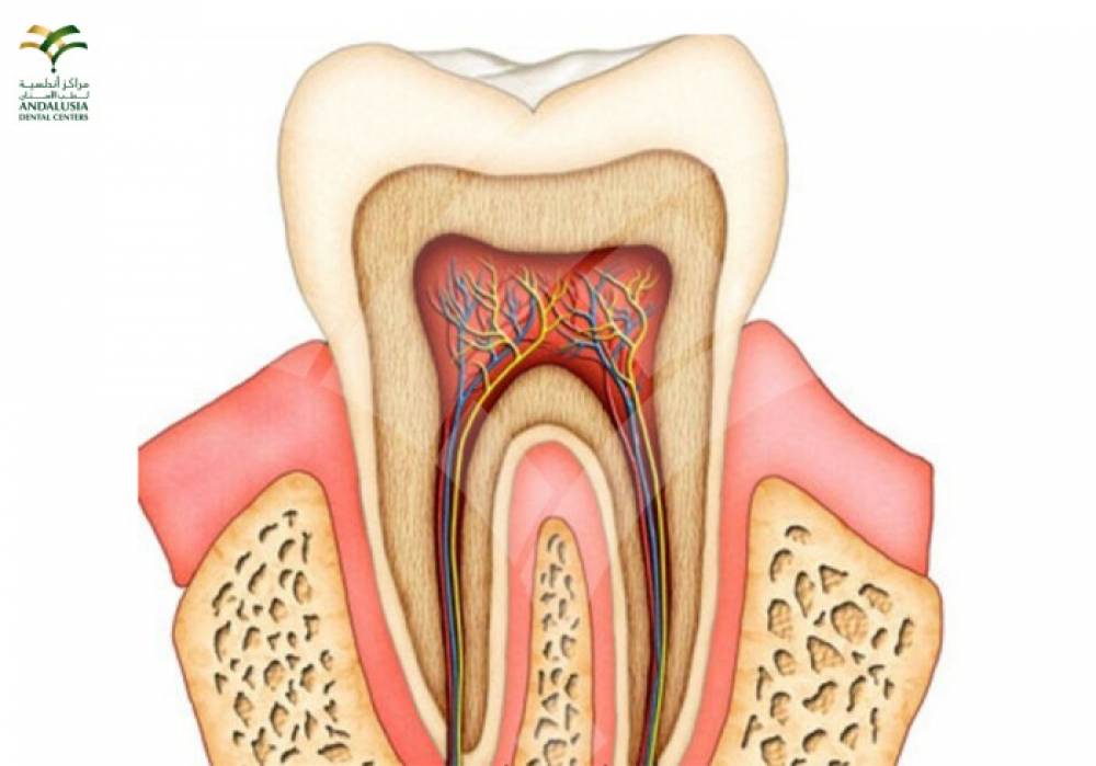 علاج ألم عصب الأسنان بالبيت