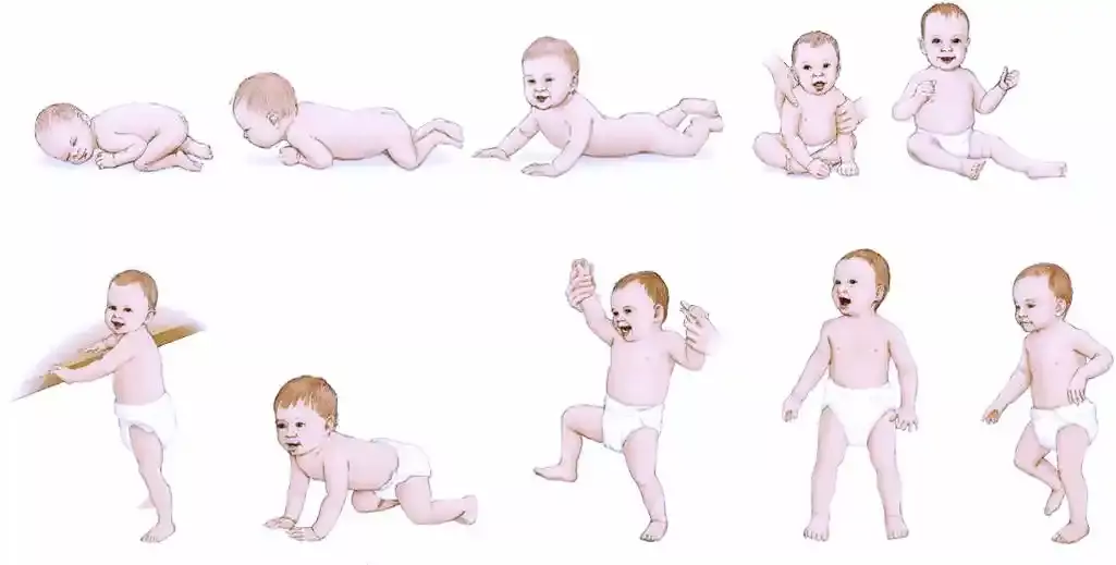 متى يبدأ الطفل بالجلوس والحبو