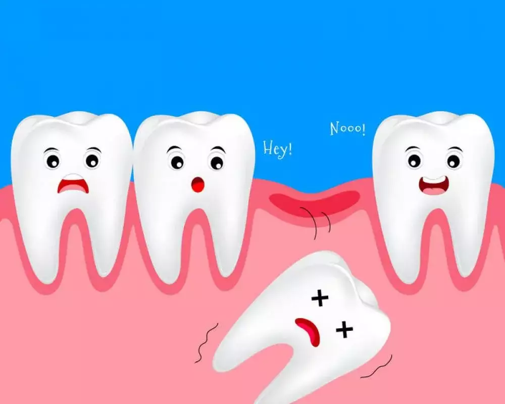 ما هو الفرق بين الأسنان اللبنية والدائمة؟