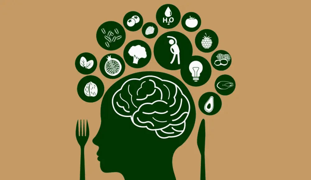 ما هي أفضل أطعمة تجدد خلايا المخ؟